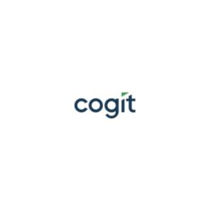 Narzędzia do analizy danych - Business intelligence - Cogit